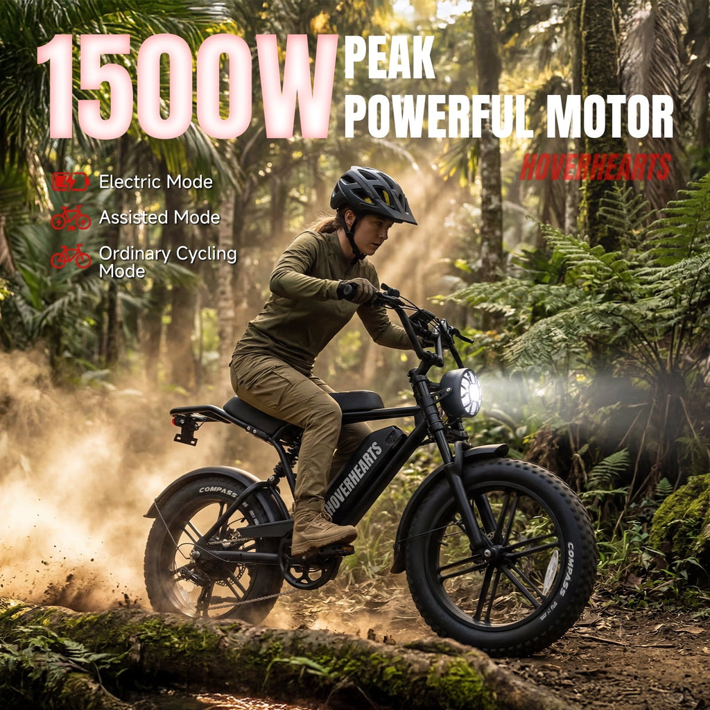 Electric Bike for Adults, 20 x 4” Fat Tire Electric Bicycle, 1500W Peak Motor 60 Miles, 48V 15Ah Removable Battery & 7 Speed Electric Mountain Bike , UL2849