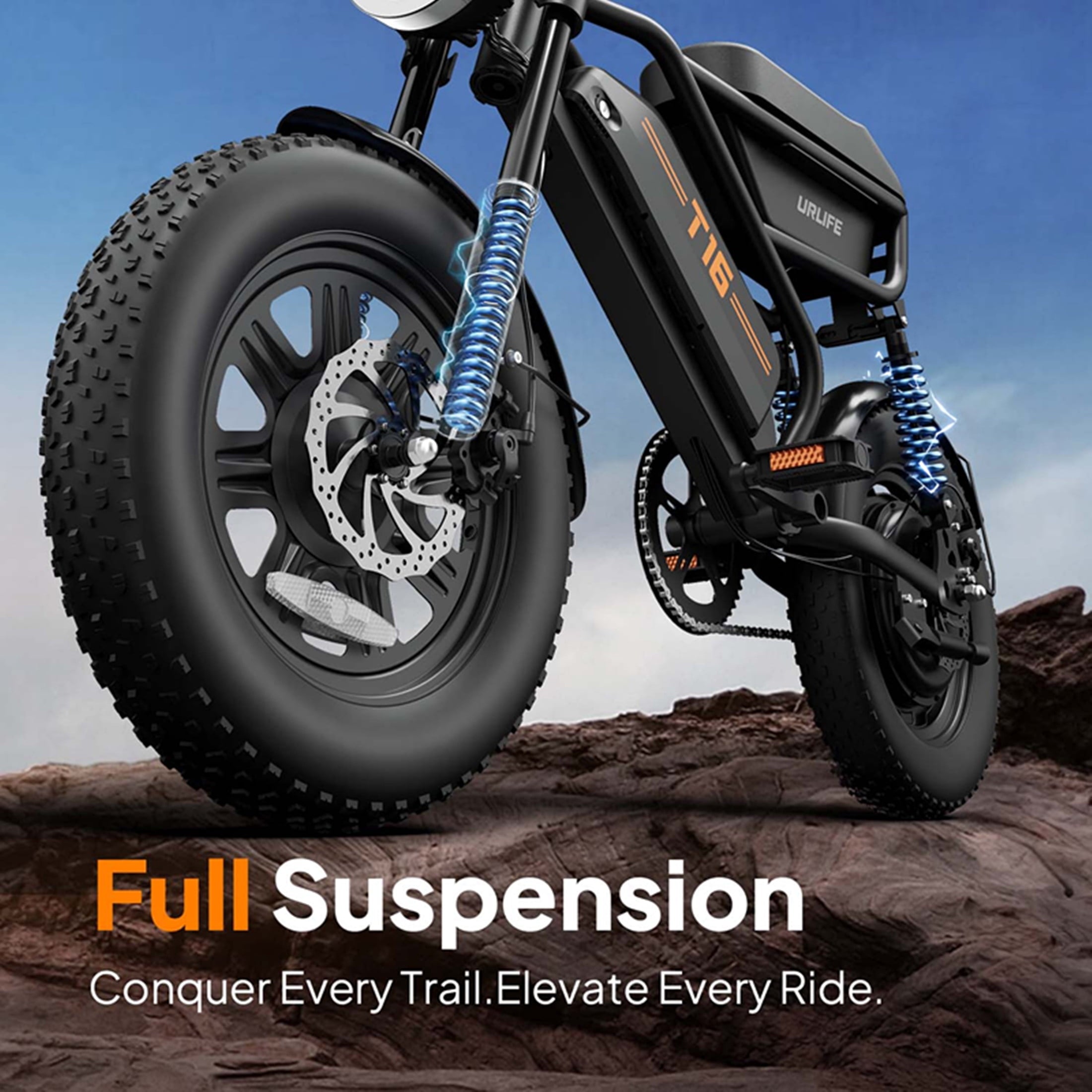 URLIFE 16*3.0 Fat Tire Electric Bike for Adult, 1000W Peak Motor, 48V 13Hh Removable Battery, Up to 28MPH 80Miles Range, Electric Dirt/Mountain Bike-UL2849