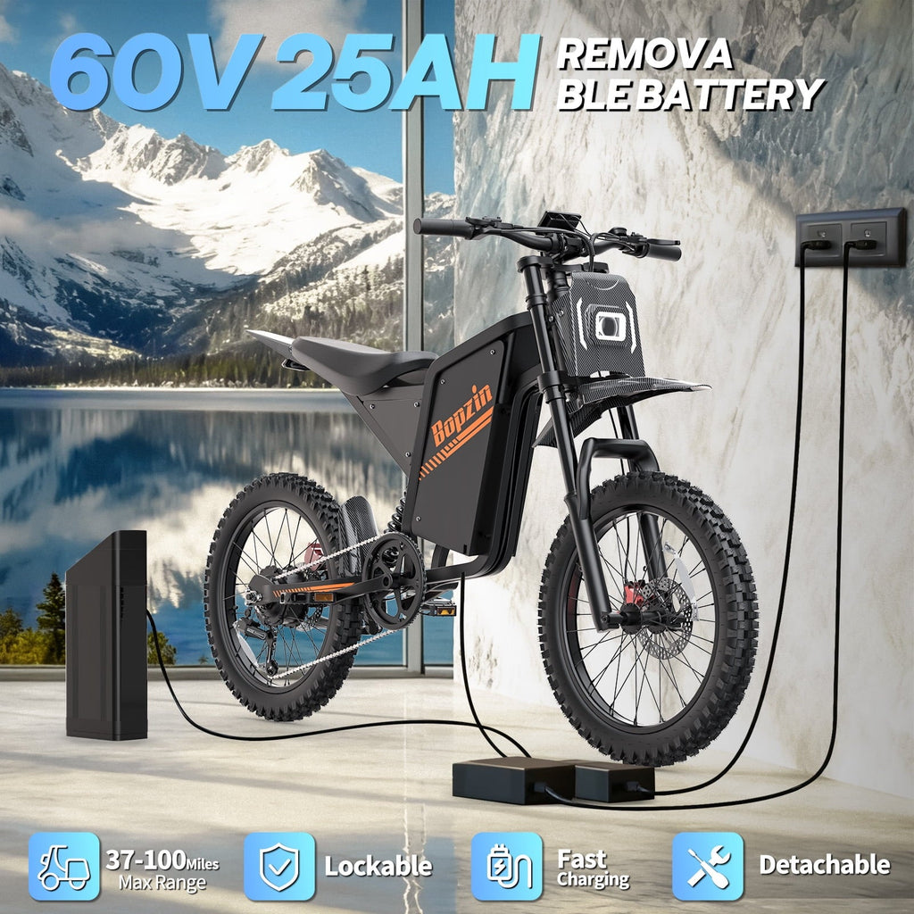 Electric Dirt Bike for Adults/Teens,Peak 2600W,Anti Theft Alarm Electric Motorcycle,60V 23AH,Max 100 Miles Removabale Battery,14/12 Tire Mountain Bike UL2849