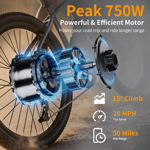 24 Inch Electric Bike, E-Bike for Adults with 48V 13AH Removable Battery, Step Through Ebike for Women Men,City Electric Bicycle UL2849