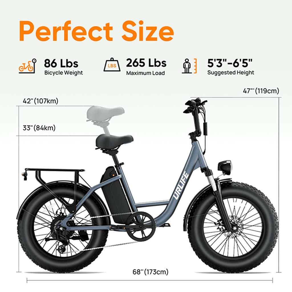 URLIFE 4.0 Fat Tire Ebike,20 Electric Bicycles for Adult,1500W Peak Motor,48V 15.6AH Remobavle Battery,7-Speed Mountain Ebike,UL2849-Black