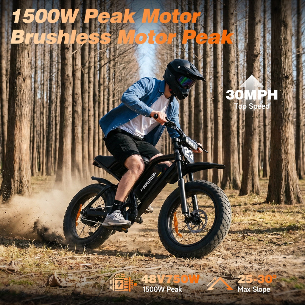 HiKeep 20 Fat Tire Electric Bike for Adults, 750W 1500W Peak Motor, 48V 17.5Ah Removable Battery E-Mountain, Full Suspension Dirt Ebike, UL2849