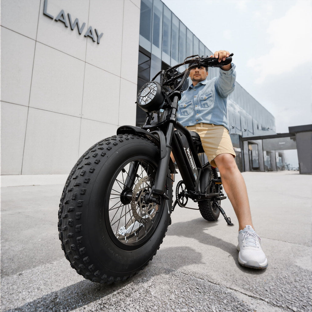 VOLTVOGUE VV-16 Adult Electric Bike, 16 Fat Tire Ebike, 48V 15.6Ah 748Wh Lithium Battery, 750W Motor, Full Suspension All-Terrain E-Bike with App Control, Recommended Age 16+ UL2849