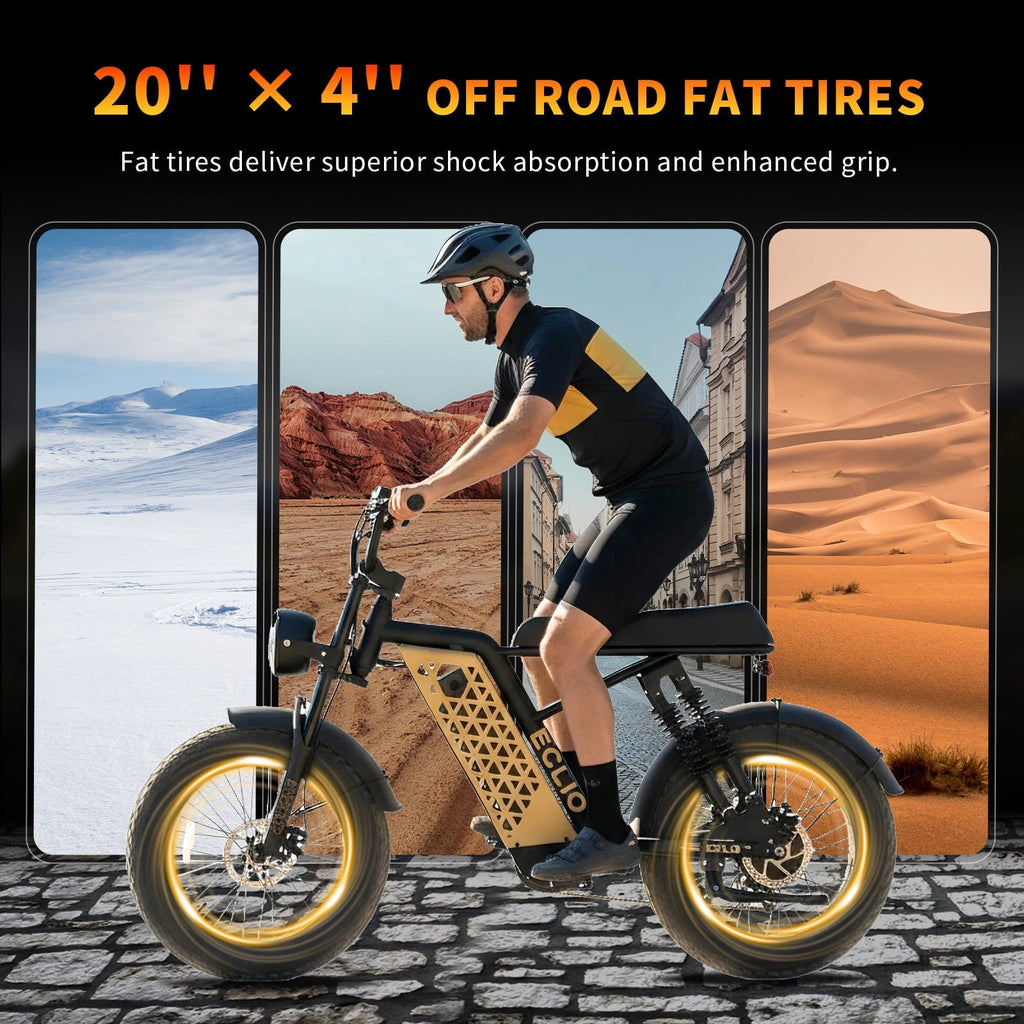 Electric Bike for Adults, 750W Peak Motor 20MPH, 48V 13Ah Battery 40-65Miles Ebike Moped Style, 20*4.0'' Fat Tire Electric Dirt Bike, Off Road Electric Bicycle with Full Suspensio UL2849