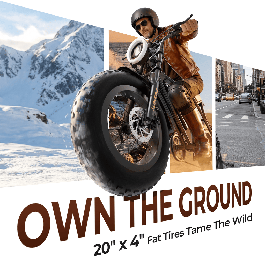 Skeri 750W (Peak 1000W) Electric Bike, 16” x 4” Fat Tire Dual Suspension E-Mountain Bikes, 48V 13Ah Battery UL2849