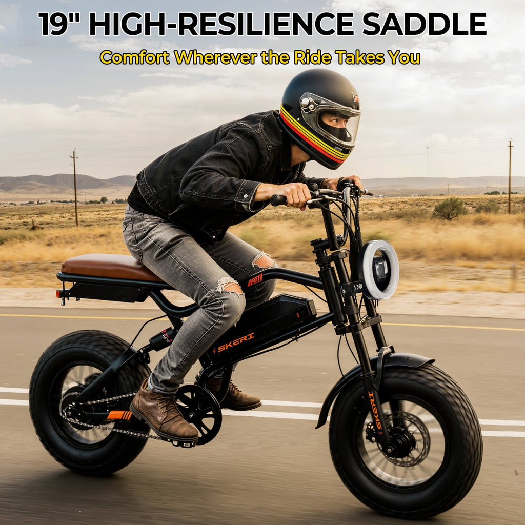 Skeri 750W (Peak 1000W) Electric Bike, 16” x 4” Fat Tire Dual Suspension E-Mountain Bikes, 48V 13Ah Battery UL2849