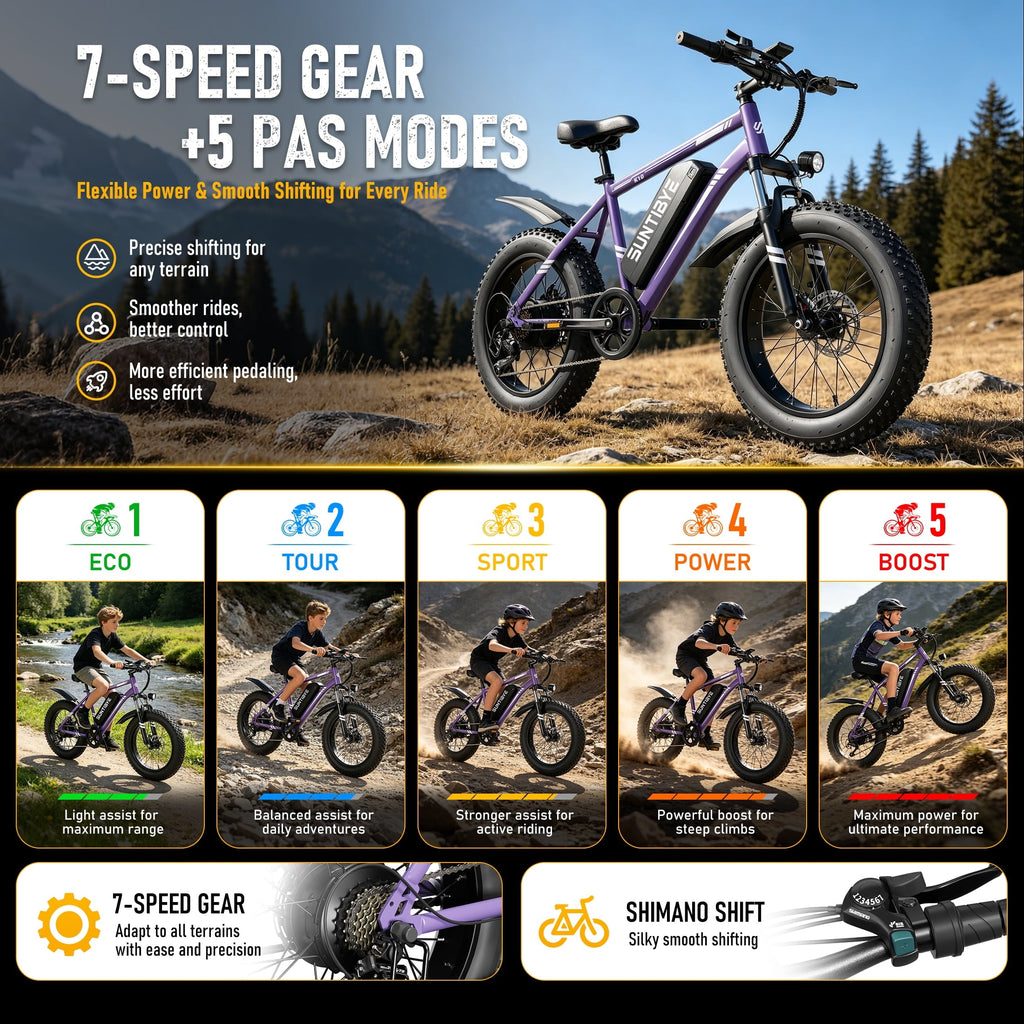 SUNTIBYE K10 Electric Bike 1000W, 48V 15Ah, 20 Fat Tire Ebike, 28MPH, E-Mountain Bike UL2849,Black