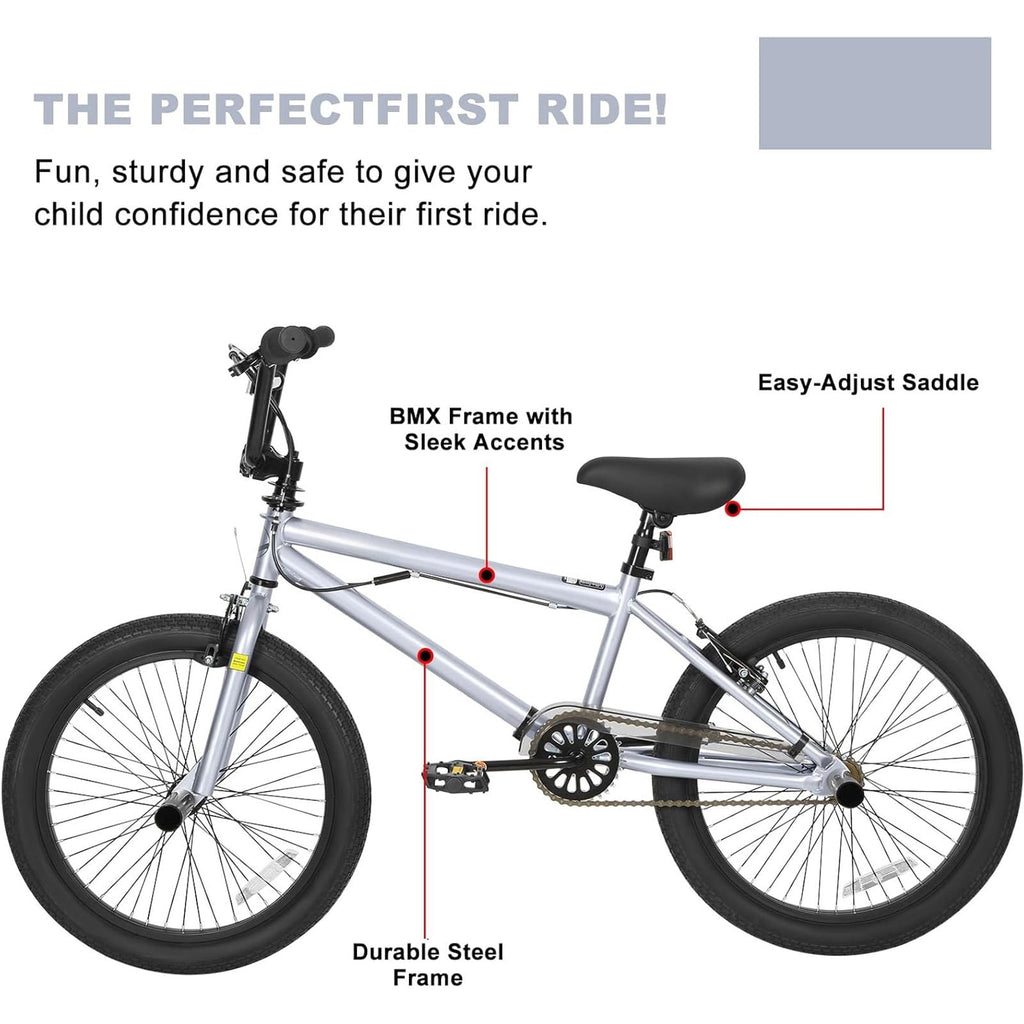 Hykolity 20 inch BMX Bike Freestyle Cycling Trick Bicycle with 4 Pegs for Teenage Adults Men Women Beginners Street Stunt Bike V-Brake Silver