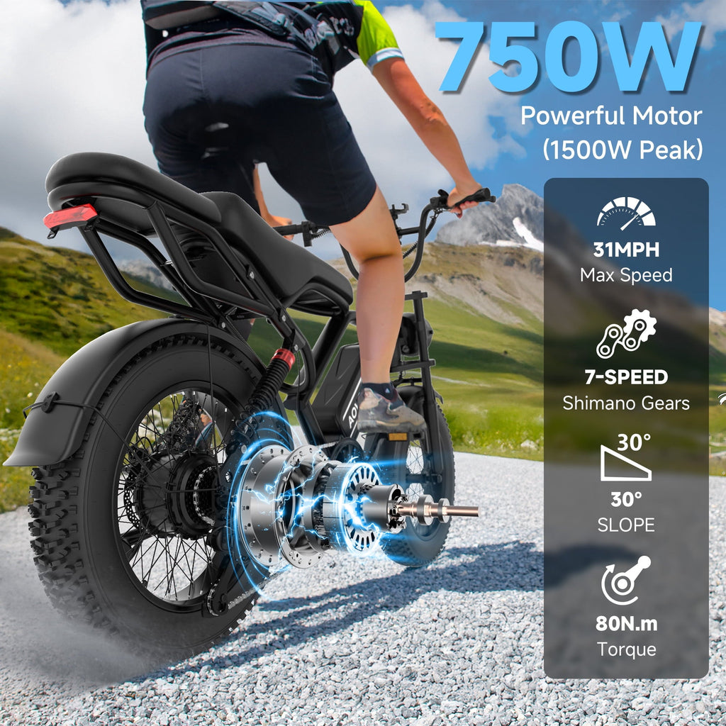 Electric Bike for Adults 20 X 4.0 Fat Tire, 750W Off-Road E Bike, E-Mountain Bike 48V 18AH UL2849