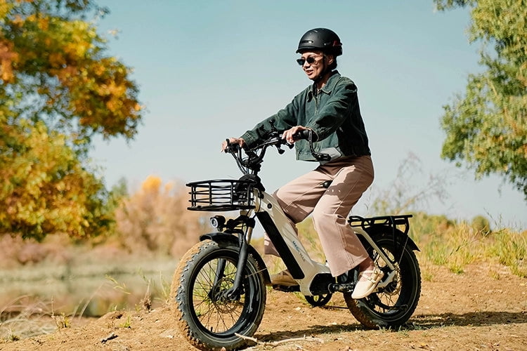 Magicycle Electric Bike for Adults, 750W Ebike with 52V 20Ah Removable Battery, 100 Miles, 28mph Max Speed, 7 speed,20'' Fat Tires Commuter City Cruiser Electric Bicycles, UL2849