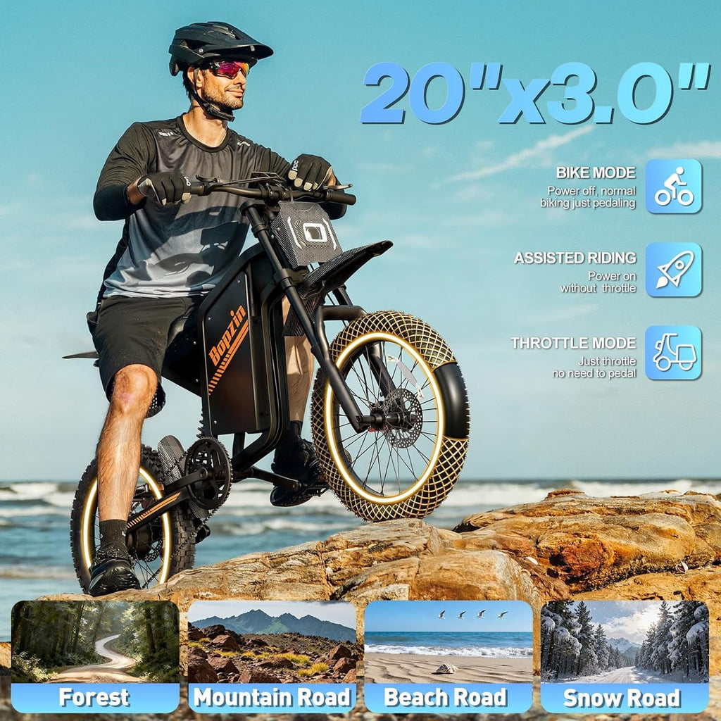 Electric Dirt Bike for Adults/Teens,Peak 2600W,Anti Theft Alarm Electric Motorcycle,60V 23AH,Max 100 Miles Removabale Battery,14/12 Tire Mountain Bike UL2849