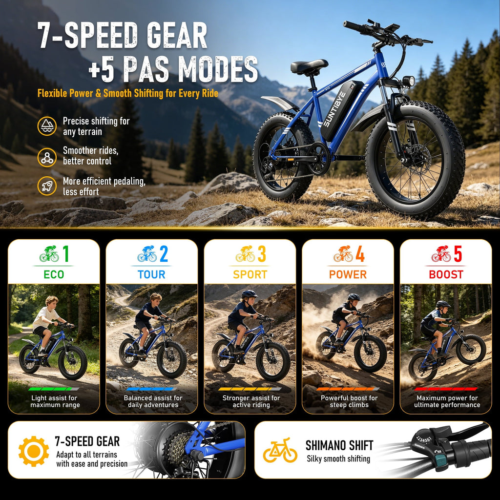 SUNTIBYE K10 Electric Bike 1000W, 48V 15Ah, 20 Fat Tire Ebike, 28MPH, E-Mountain Bike UL2849,Black