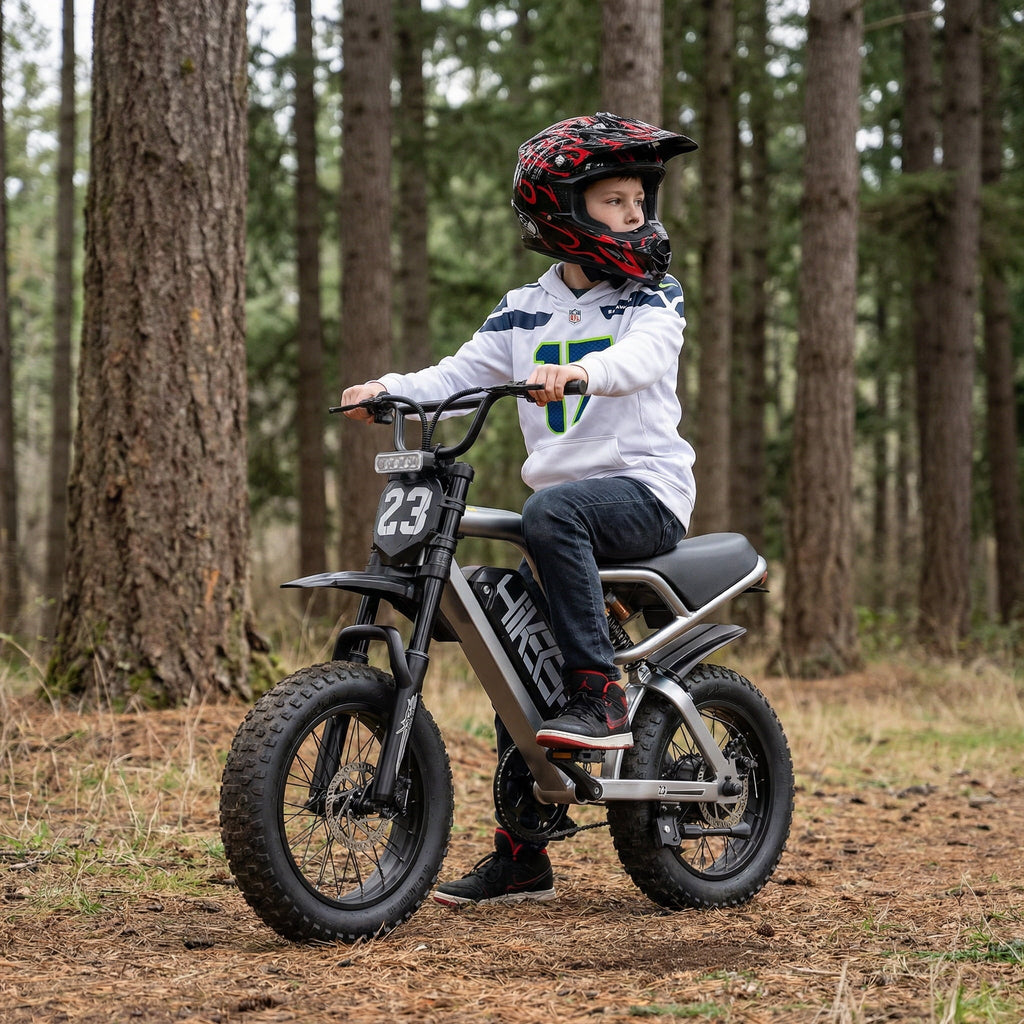Electric Bike for Teenagers, Ages 7+ with 750W Brushless Motor, 16 Fat Tire, 19.8 MPH Electric Mountain Bicycle with Removable Battery, UL2849