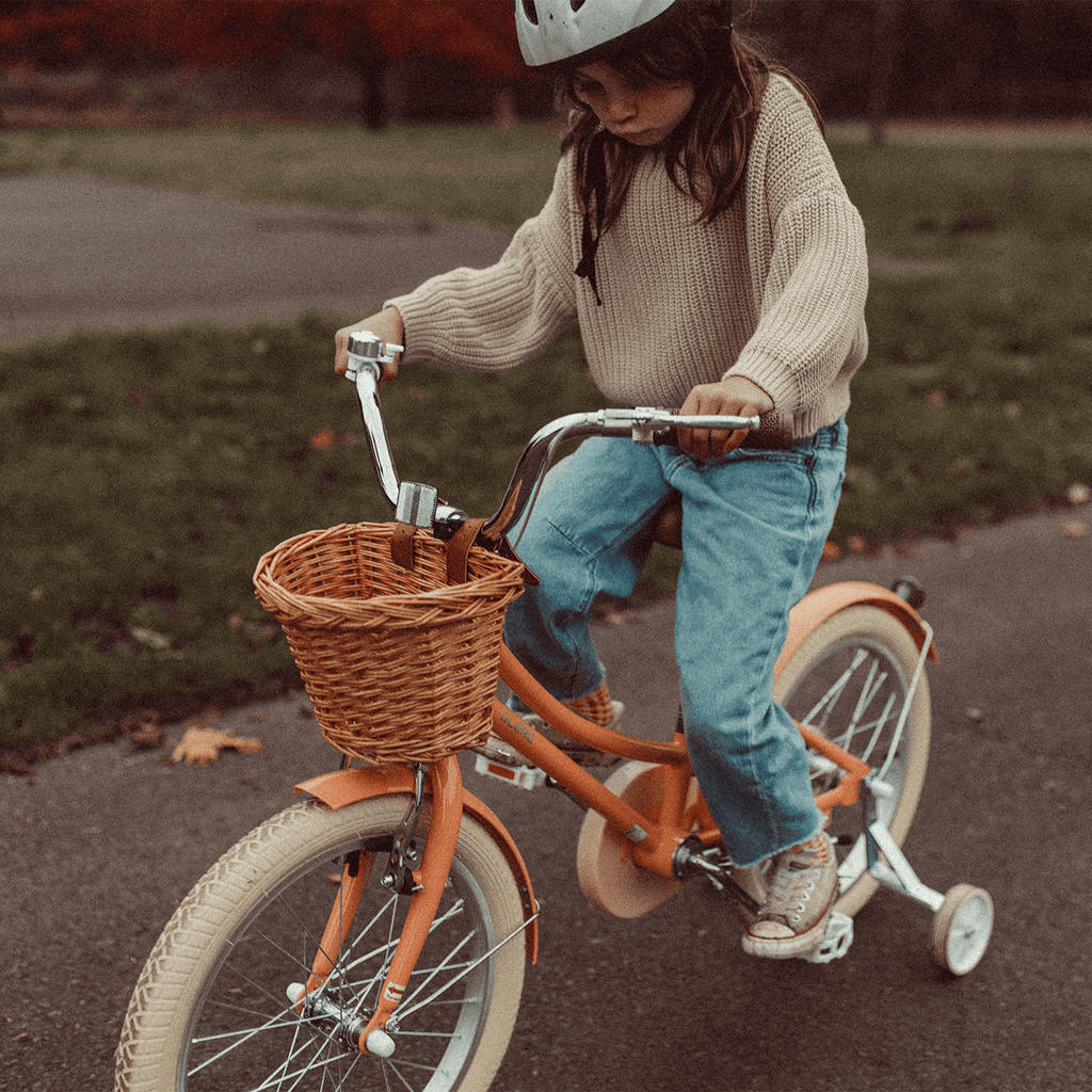 Glerc Little Molly 20 inch Kids Girls Bike for 7-13 Years Old Child,gifts,Blue