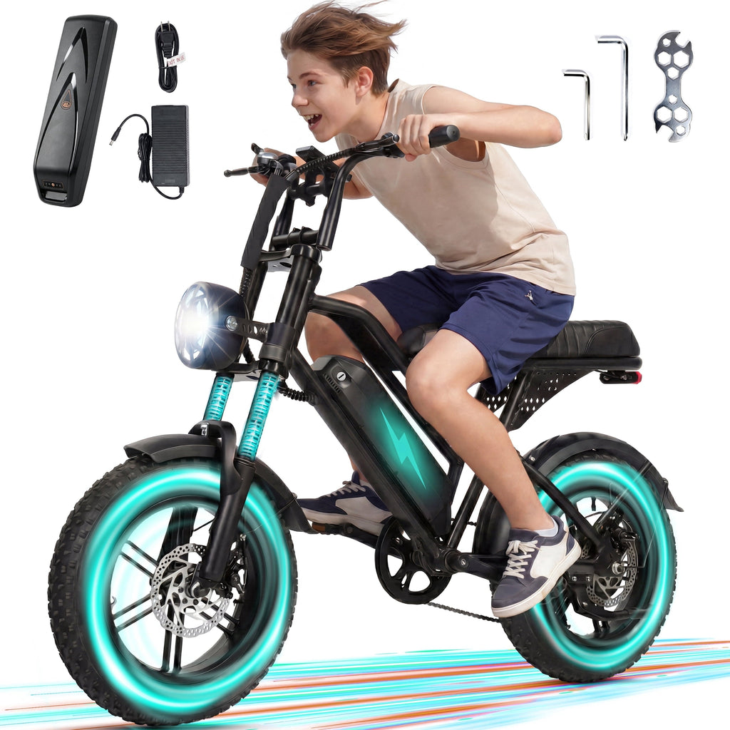 ESKUTE V100 Electric Bike for Teens Adults Students, 750W 28 Mph 48V 13 Ah,16x4.0 Fat Tire E Bicycle, 7-Speed Dual Suspension Mountain EBike Black, UL2849