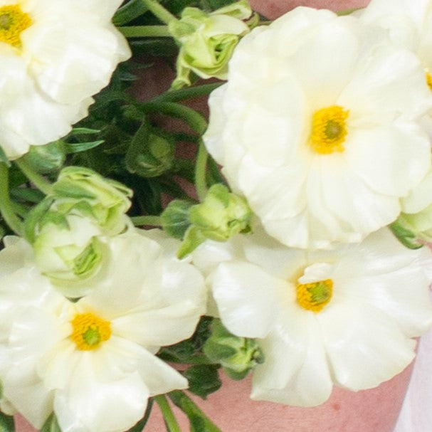 Build Your Own Wildflower Box (10 bunch minimum)