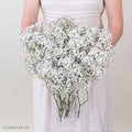 Small Million Star Baby's Breath Flower