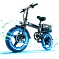 SHCNTEKU 14IN Folding Ebike, Features a high capacity 500W Peak Motor for Adults Teens, Removable Battery 25 Miles 20mph Electric bicycles,UL 2849
