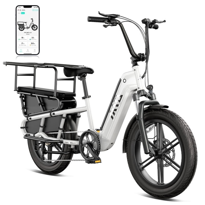 TST Electric Bike, 1500W E-Mountain Bike, 48V/15AH Removable Battery UL2849, Max Range 80Miles, 20 Fat Tire Ebike, 28mph Fast Cargo Ebikes, Electric Bicycle