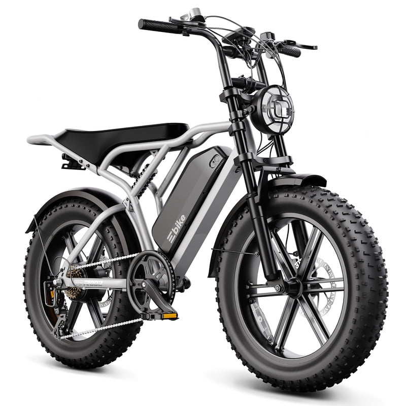 TST Electric Bike for Adults, 750W Peak 1500W Motor, 20x4 Fat Tire, E Mountain Bike, 48V/15AH UL2849
