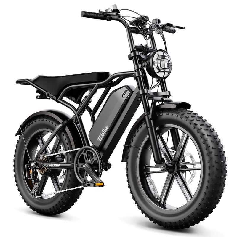 TST Electric Bike for Adults, 750W Peak 1500W Motor, 20x4 Fat Tire, E Mountain Bike, 48V/15AH UL2849