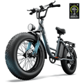 URLIFE 4.0 Fat Tire Ebike,20 Electric Bicycles for Adult,1500W Peak Motor,48V 15.6AH Remobavle Battery,7-Speed Mountain Ebike,UL2849-Black