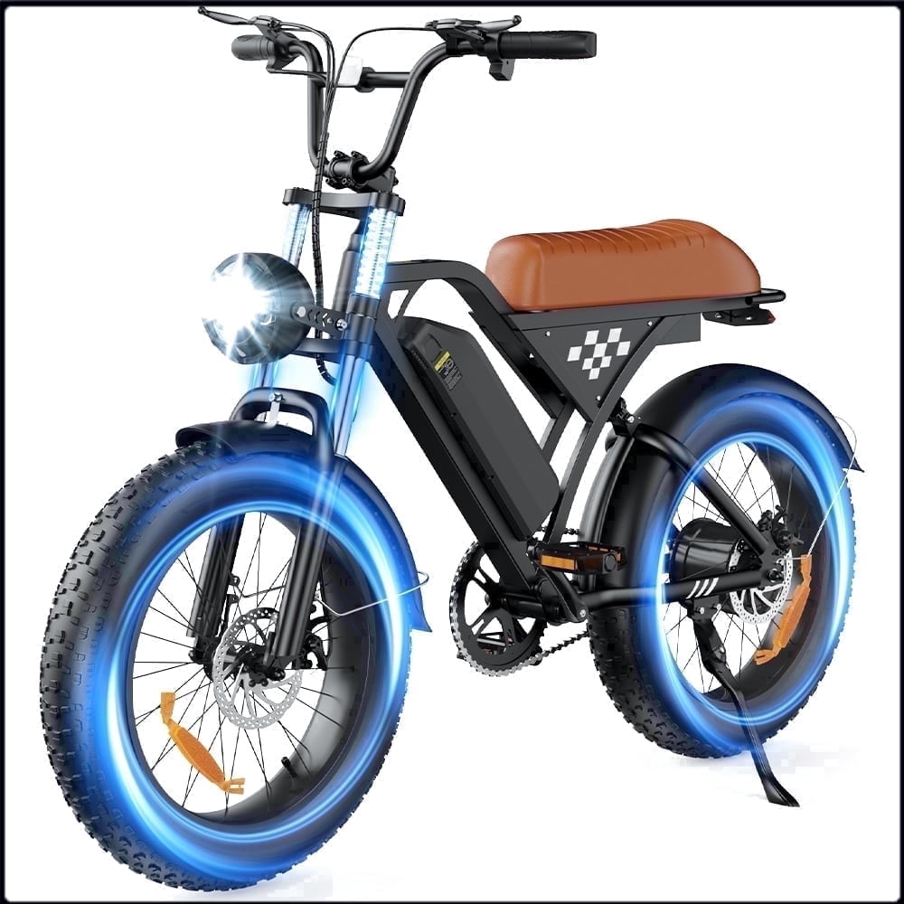 iSinwheel 750W Motor Electric Bike,Off-Road Mountain E-Bike,42V 15Ah Battery,20 Fat Tires,65miles,Suspension for Outdoor Cycling Ebike,UL2849 Tested
