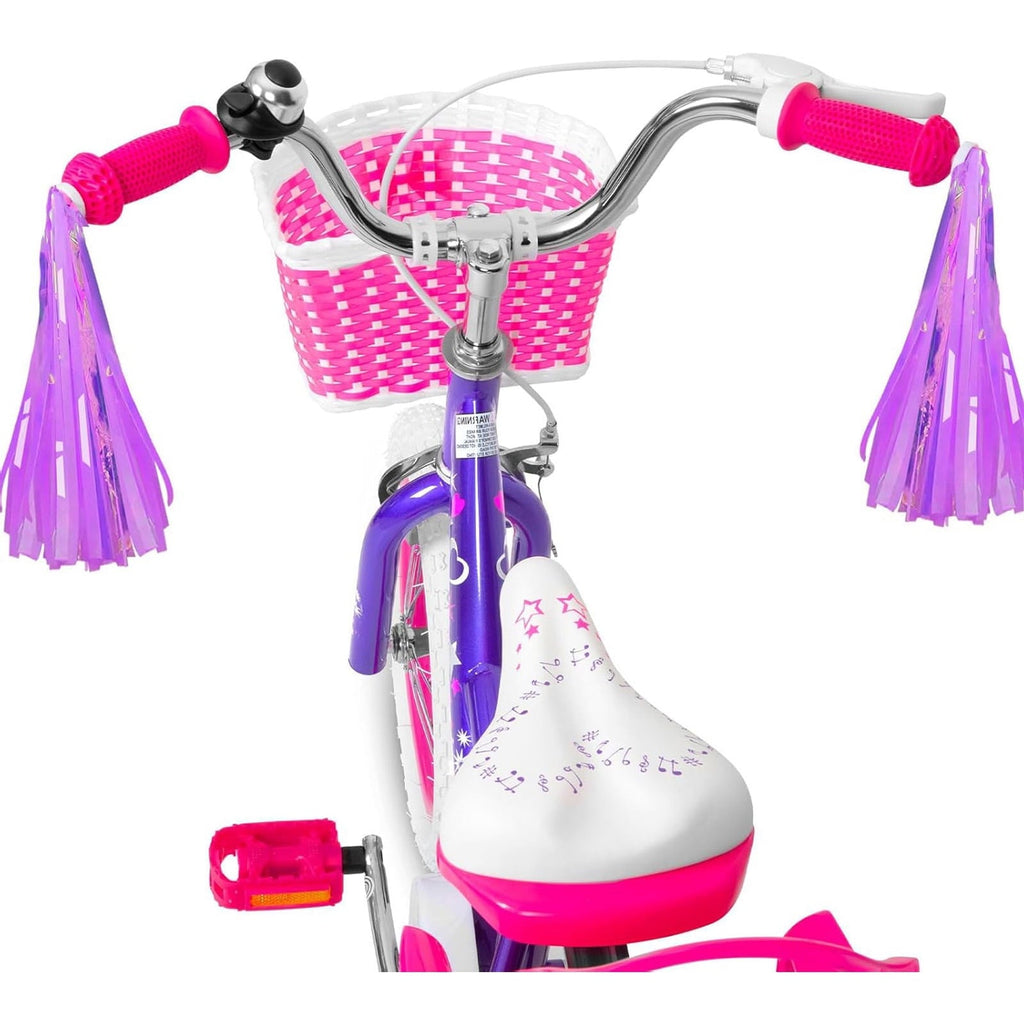 Hykolity 14 inch Girls Bike Princess Bicycle for Age 3-5 Years Old Rider Height 35-47 inch includes Training Wheel Basket Doll Seat Aqua Blue