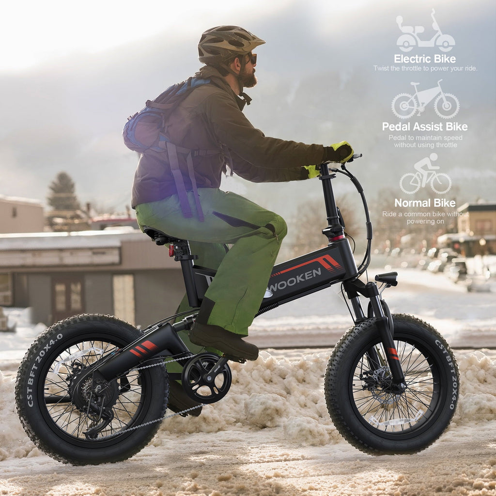 Wooken 20X4.0 Fat Tire Electric Bike for Adults, 500W Foldable Electric Bicycle with 48V 10Ah Built-in Battery, Shimano 7 Speed, Dual Shock Absorber