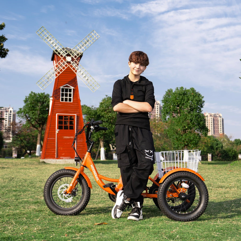 MOONCOOL Electric Tricycle for Kids ,16x3 3 Wheel 250W 10.4Ah Etrike W/ LED headlight & Rear Basket & horn bell & DIY stickers .6/9/12.5 MPH