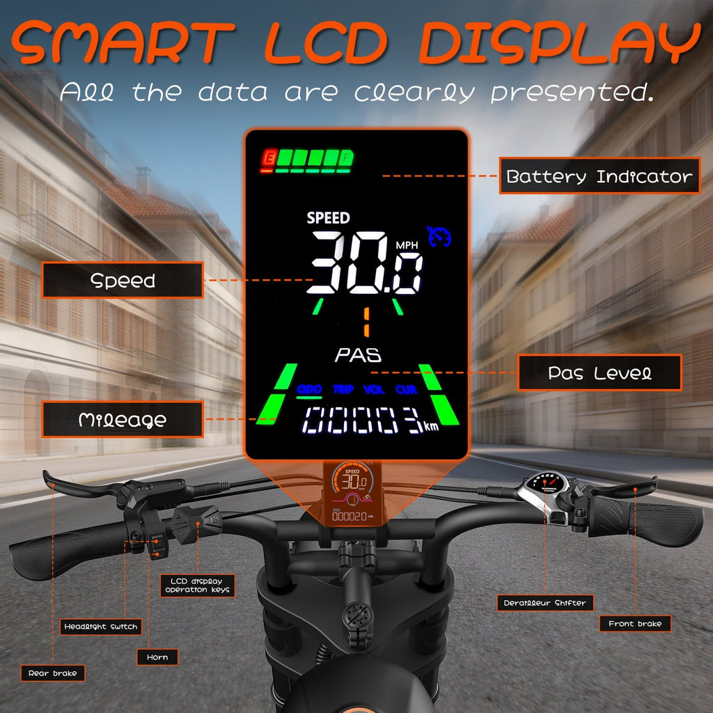 Electric Bike for Adults,750W Motor 1500W Peak,Top Speed 30MPH, Max 55miles,20×4.0 Fat Tires,48V 16.8Ah Battery,UL 2849,Fit for 18+