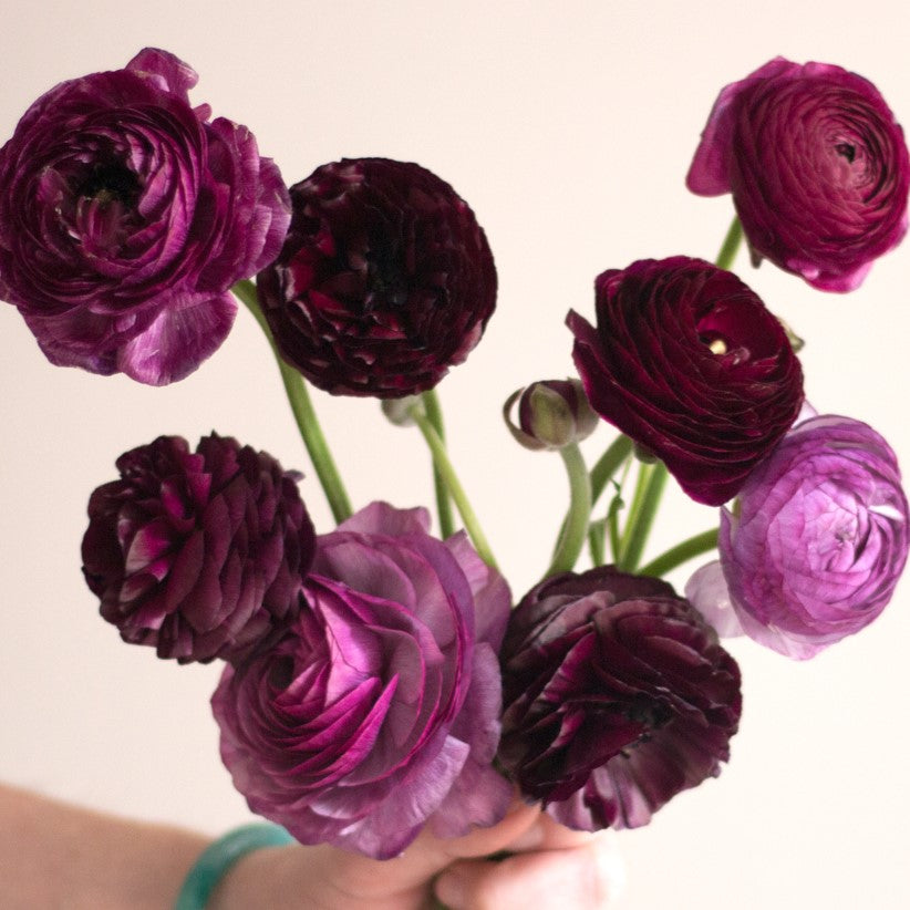 Build Your Own Wildflower Box (10 bunch minimum)