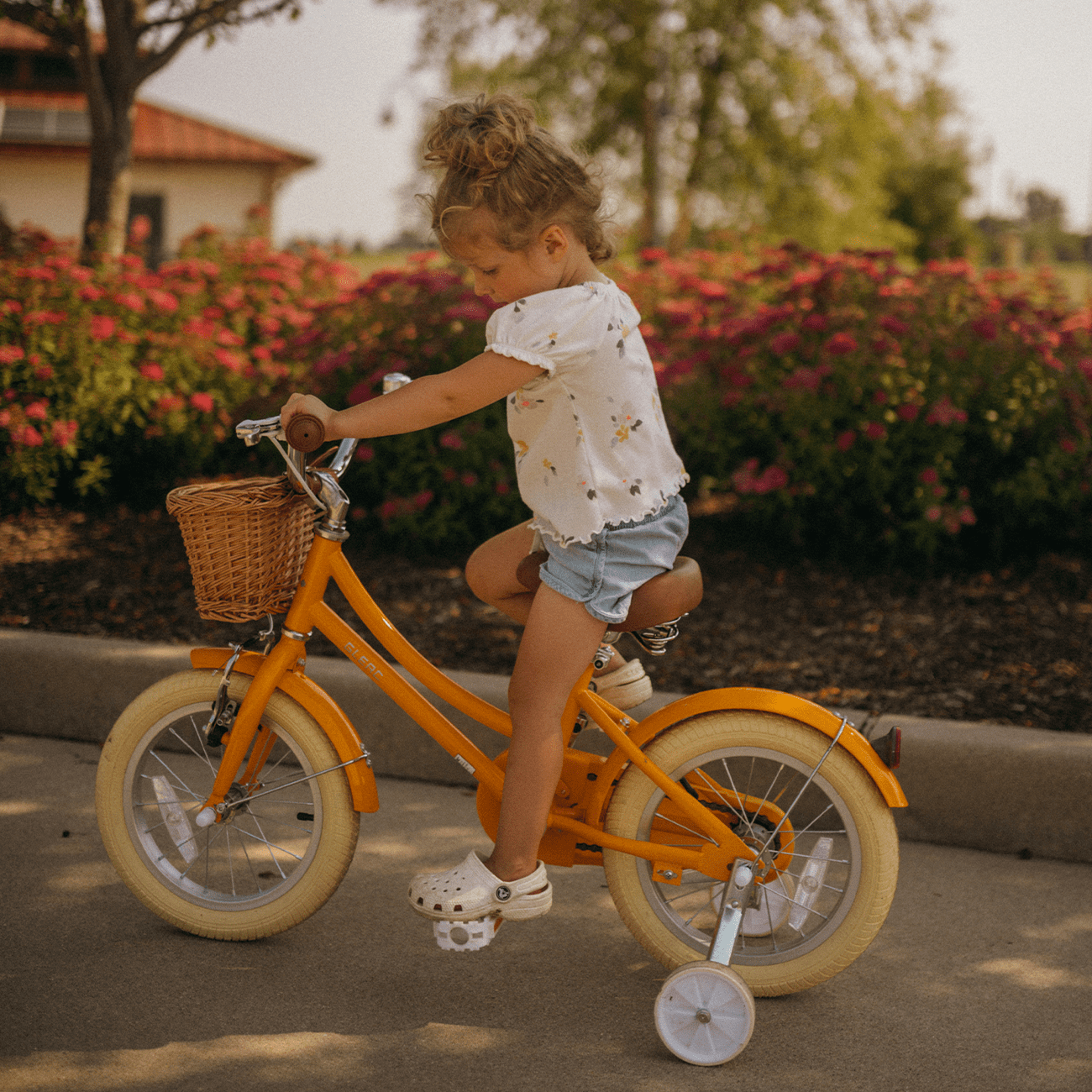 Glerc Little Molly 20 inch Kids Girls Bike for 7-13 Years Old Child,gifts,Blue