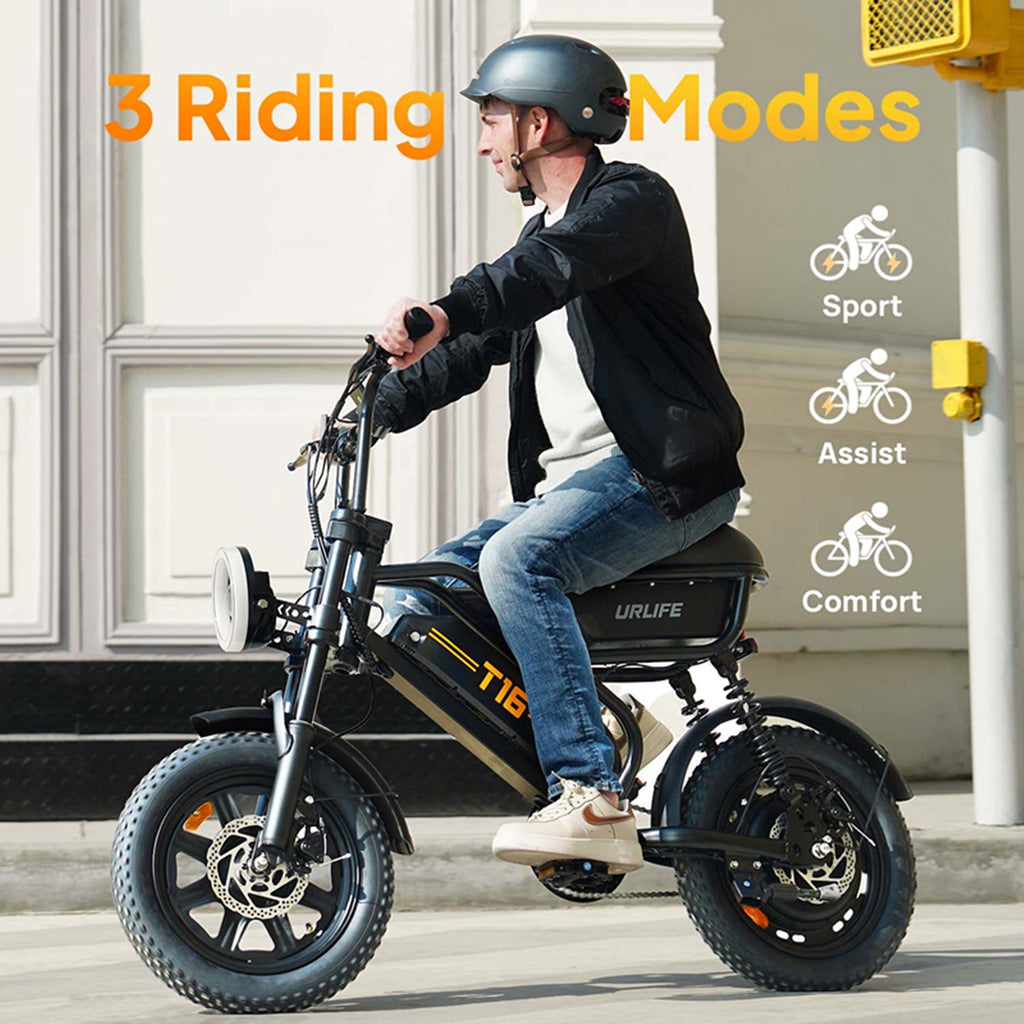 URLIFE 16*3.0 Fat Tire Electric Bike for Adult, 1000W Peak Motor, 48V 13Hh Removable Battery, Up to 28MPH 80Miles Range, Electric Dirt/Mountain Bike-UL2849
