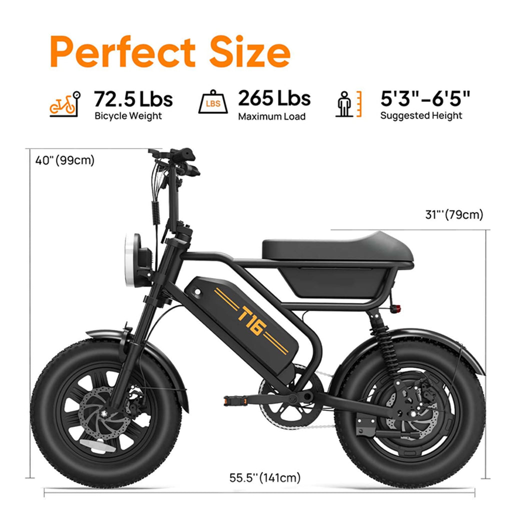 URLIFE 16*3.0 Fat Tire Electric Bike for Adult, 1000W Peak Motor, 48V 13Hh Removable Battery, Up to 28MPH 80Miles Range, Electric Dirt/Mountain Bike-UL2849