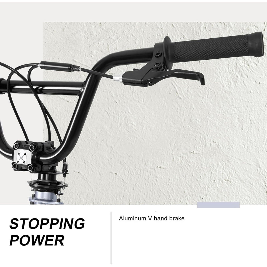Hykolity 20 inch BMX Bike Freestyle Cycling Trick Bicycle with 4 Pegs for Teenage Adults Men Women Beginners Street Stunt Bike V-Brake Silver