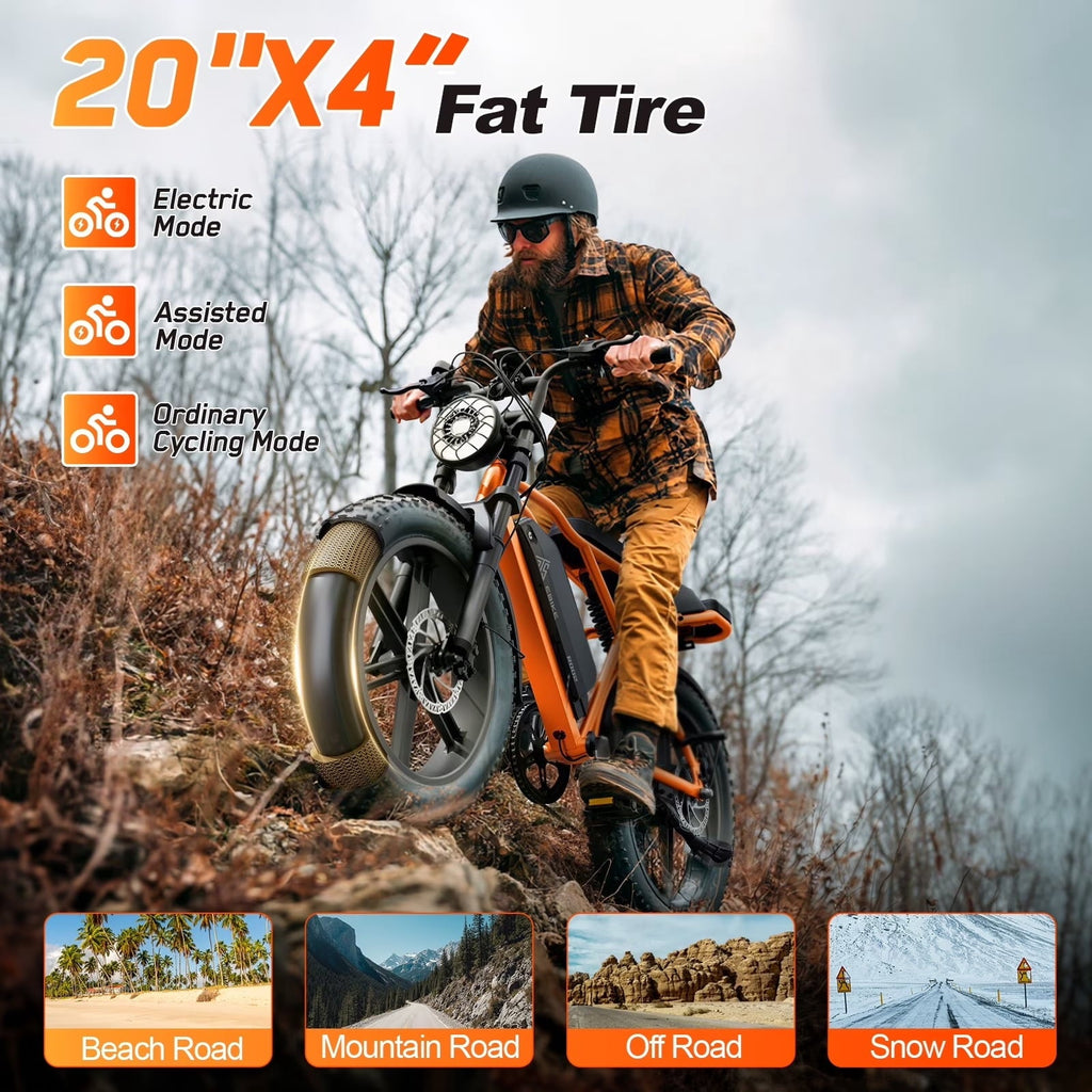 TST Electric Bike for Adults, 750W Peak 1500W Motor, 20x4 Fat Tire, E Mountain Bike, 48V/15AH UL2849