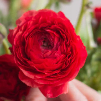Build Your Own Wildflower Box (10 bunch minimum)
